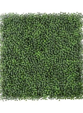 货 植物墙米兰草 磨砂麻哑光 抗uv户外防晒点 现家直YAM销厂加密