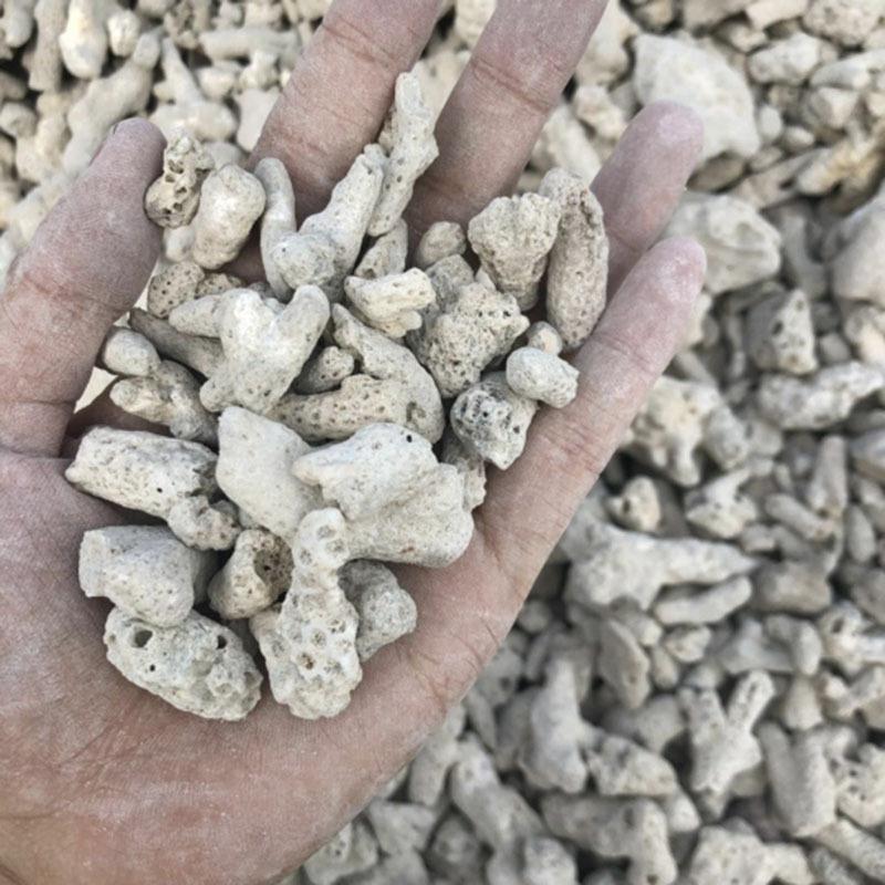 厂QAJ家供应珊瑚砂海鱼缸造景鲜过 滤用瑚珊瑚砂 珊骨