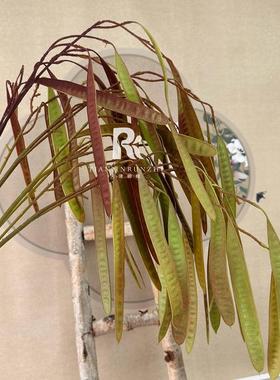 仿婚真绿植DID手豌感仿真豆荚假花吊顶背礼景垂感花艺扁豆花小众