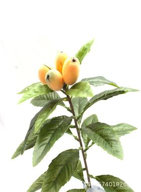 仿OMH植物假树叶单枝杷叶摄影景背真枇杷叶子落地盆枇景客厅