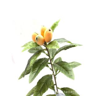 仿OMH植物假树叶单枝杷叶摄影景背真枇杷叶子落地盆枇景客厅