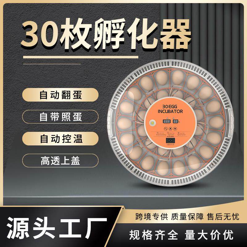 智能新型孵化机30枚自动翻蛋孵化器迷你家用小型孵化设备