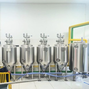 迈拓50L 100L高校精酿实验室 食品级不锈钢啤酒设备厂家新品 热卖