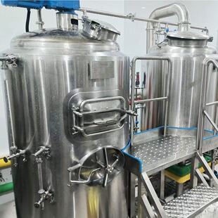 推荐 300L小型精酿设备 厂家新品 烧烤店酒吧酿酒 不锈钢发酵罐
