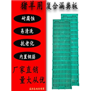 德国猪用漏粪板养羊专用漏粪板保育小猪育肥专用漏粪板