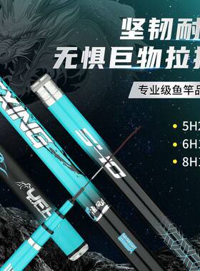 德国达瓦斩金龙小锥度高碳台钓竿19调6H8H大物鱼竿超轻超硬亲民版