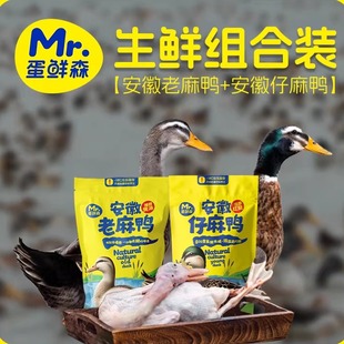 【买一赠一】蛋鲜森散养老麻鸭+仔鸭正宗老鸭土鸭新鲜健康包邮