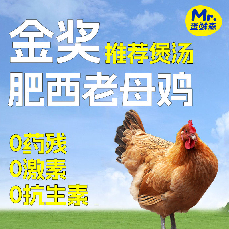 蛋鲜森金奖肥西老母鸡散养一年以上1只装2斤土鸡煲汤鲜香,水产肉类/新鲜蔬果/熟食,整鸡/整鸡制品,淘宝优惠券,粉丝福利购,淘宝优惠卷