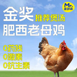 蛋鲜森金奖肥西老母鸡散养一年以上1只装2斤土鸡煲汤鲜香