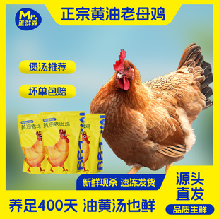蛋鲜森400天黄油老母鸡到手3只整鸡现杀煲汤鲜香坏单包赔