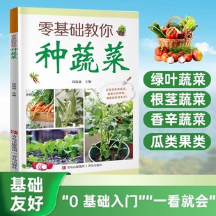零基础教你种蔬菜正版 天然蔬菜种植宝典从种子到餐桌手把手教你种蔬菜打造绿色健康菜园辣椒番茄黄瓜有机蔬菜栽培种植技术大全书