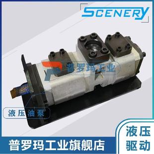 SCENERY双联内啮合齿轮泵S2NCB系列液压系统伺服齿轮油泵驱动