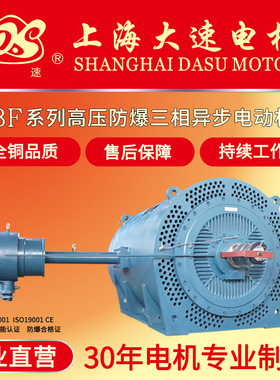 大速YBF系列风机用6KV10KV高压防爆电机矿山煤矿三相异步电动机