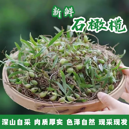 现采新鲜石橄榄双叶中果双叶小果生岩珠果上叶煲汤炖汤养生材料