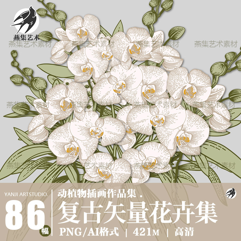 手绘古典复古烫金植物花卉花朵插画AI矢量图设计PNG免抠图片素材