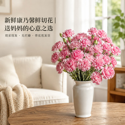 多头康乃馨鲜花花束云南直发