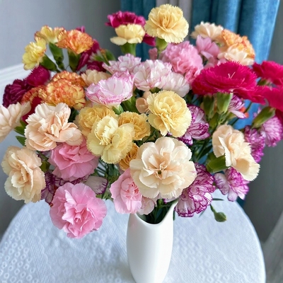 多头康乃馨鲜花花束云南空运直发