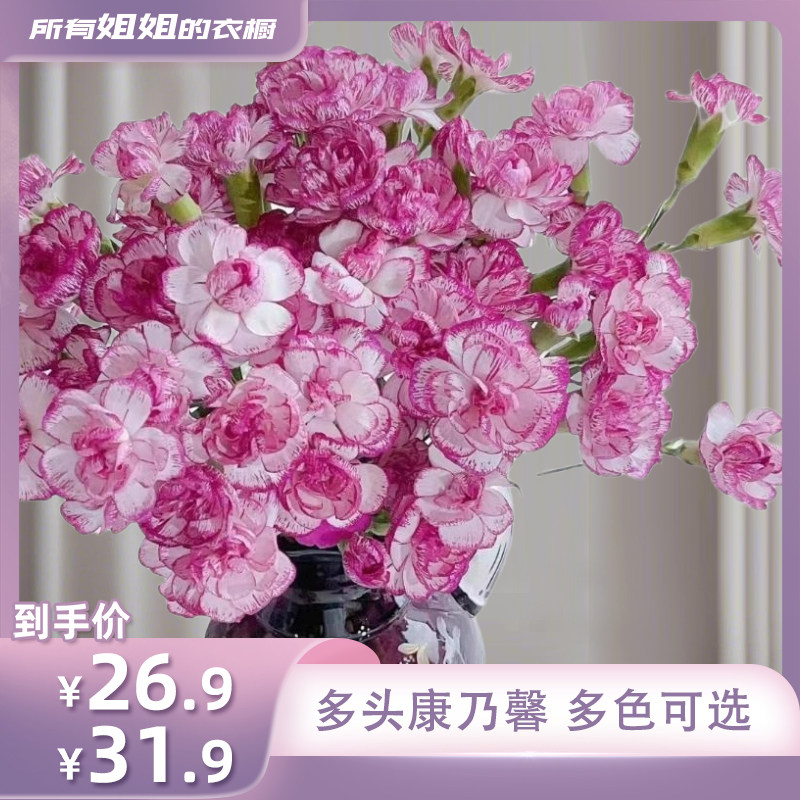 【所有姐姐的衣橱】多头康乃馨多丁野马鲜花花束水培插花鲜切花