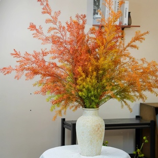 超A级千层金鲜花云南基地直发黄金香柳雪柳水养鲜切花插花可干花