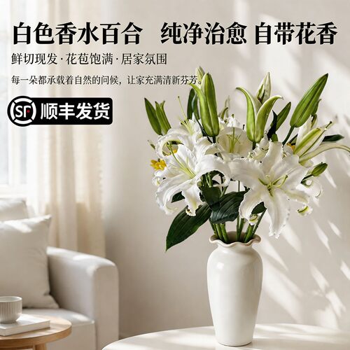 空运香水百合花鲜花云南直发