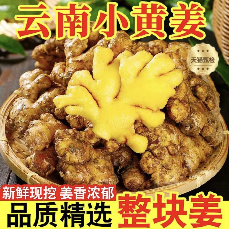 【全网热销500w】正宗云南小黄姜