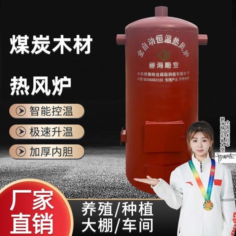 炉燃煤养殖锅炉大棚种植增温厂房取暖恒温烘干育雏鸡鸭鹅暖风