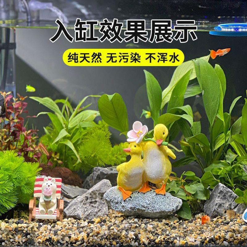 50斤天然鹅卵石原生溪流