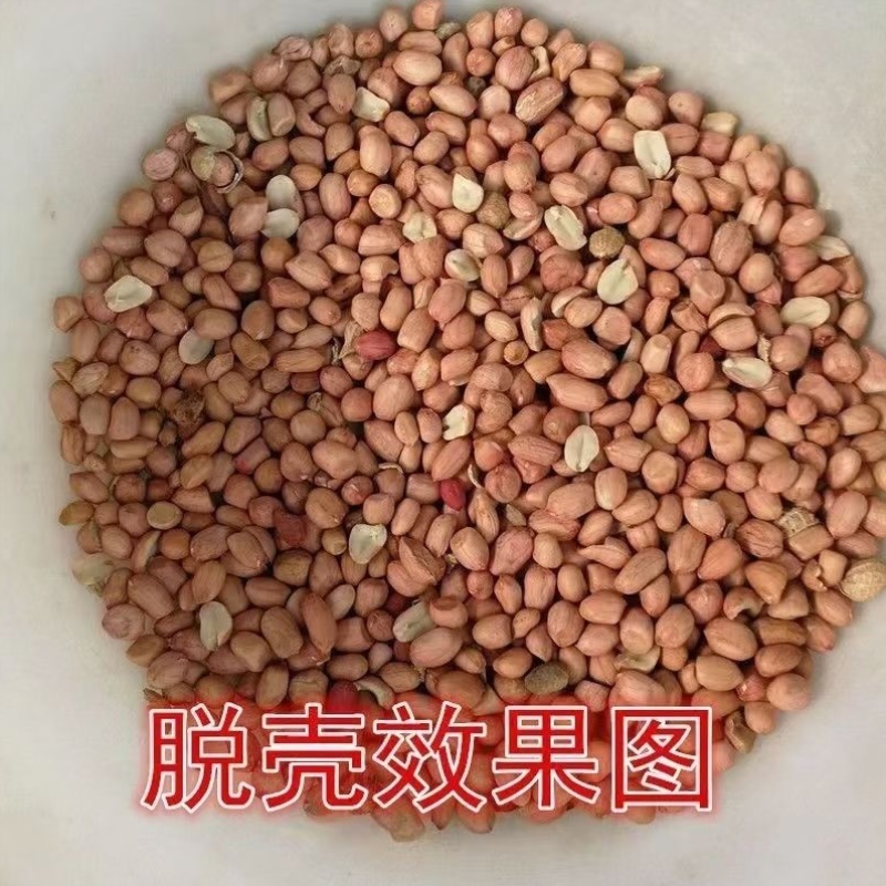 新品花生脱壳机油茶破壳油坊配套小型家用种子剥壳自动剥花生