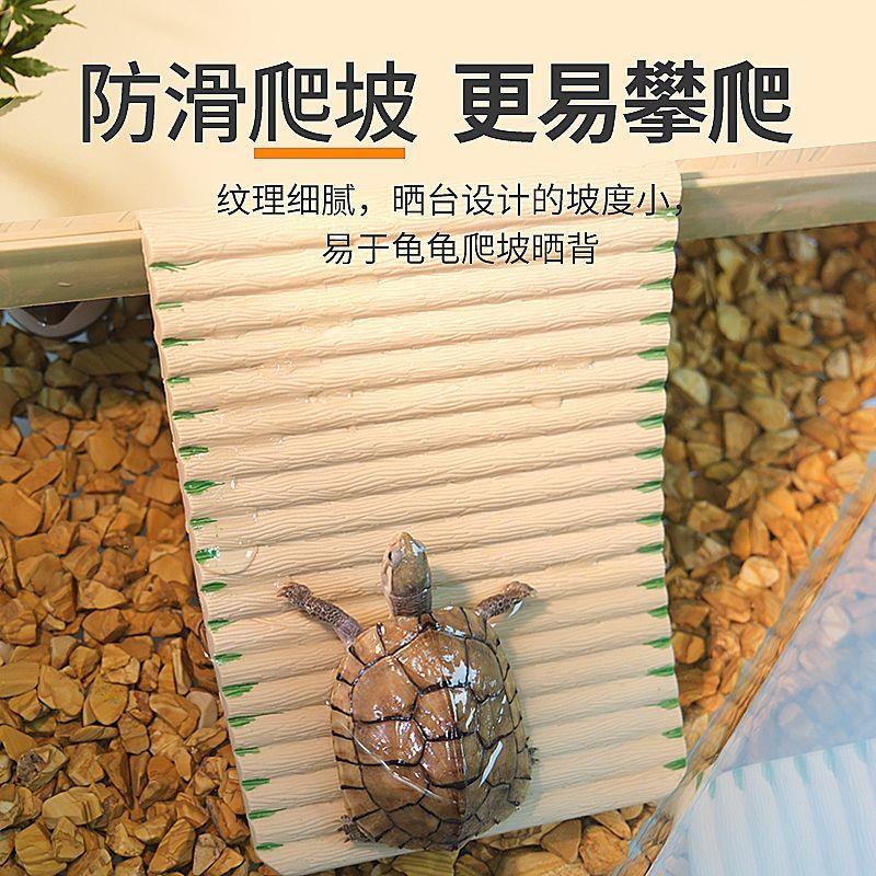 乌龟晒台爬台深水背台高