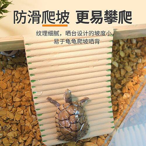 乌龟晒台爬台深水背台高