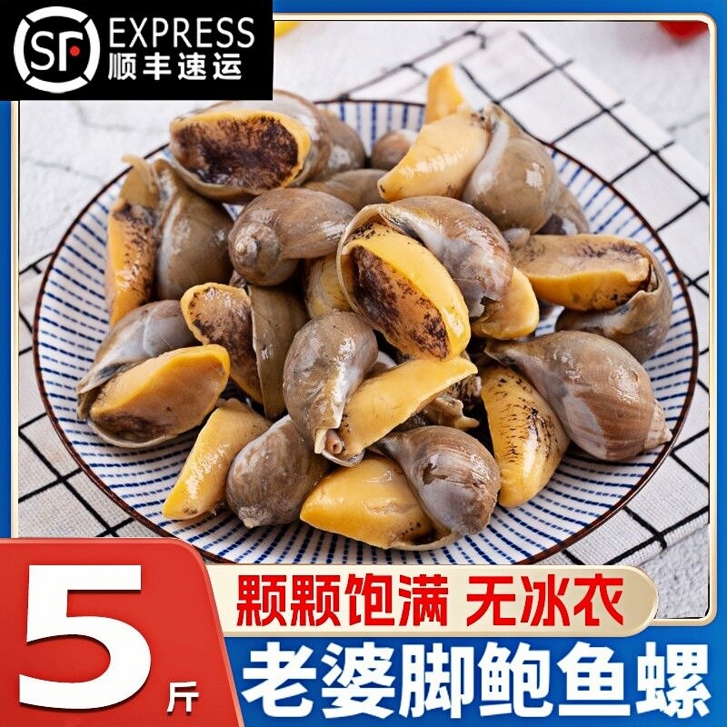 鲍鱼螺鲜活大号老婆脚新鲜冷冻鲍螺老婆脚鲍鱼螺海鲜水产整箱批发
