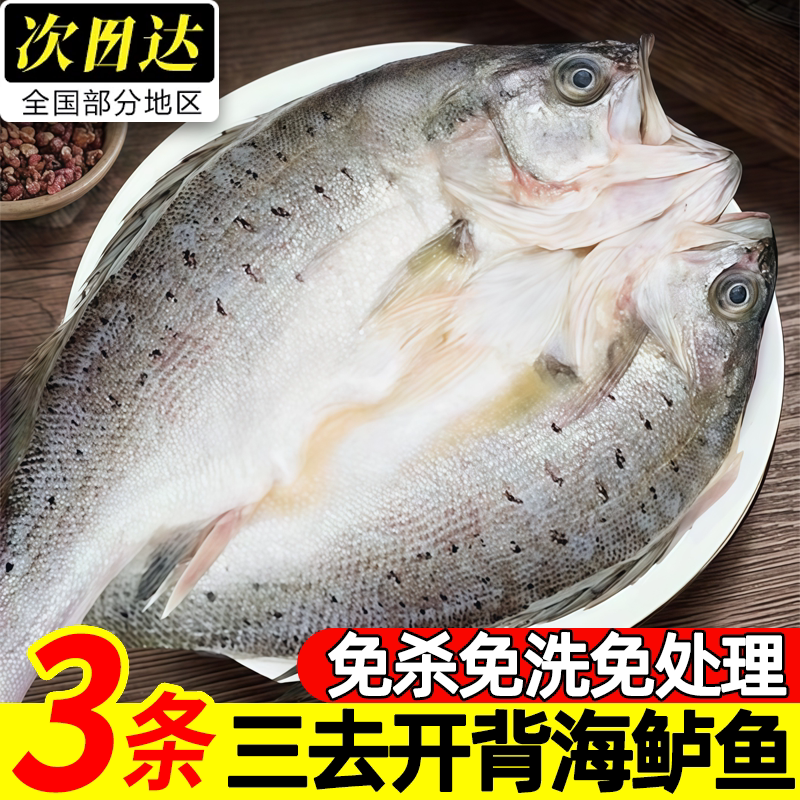 海鲈鱼开背冷冻半成品顺丰