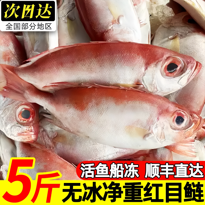 辽宁丹东深海捕捞大眼红眼鱼