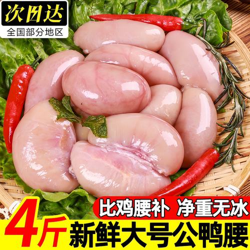 特大鲜冻鸭腰鸭肾火锅烧烤批发