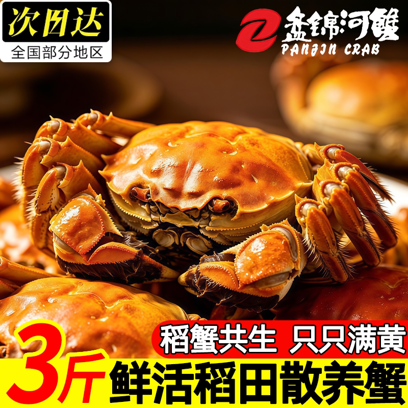 盘锦鲜活特大母河蟹礼盒