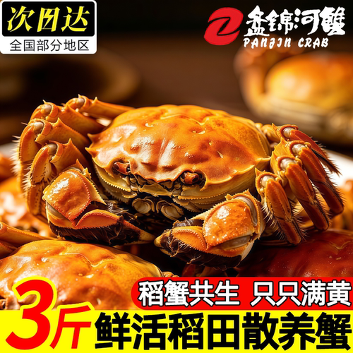 盘锦鲜活特大母河蟹礼盒