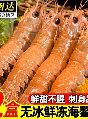 大海十三北海海捕无冰刺身海螯虾