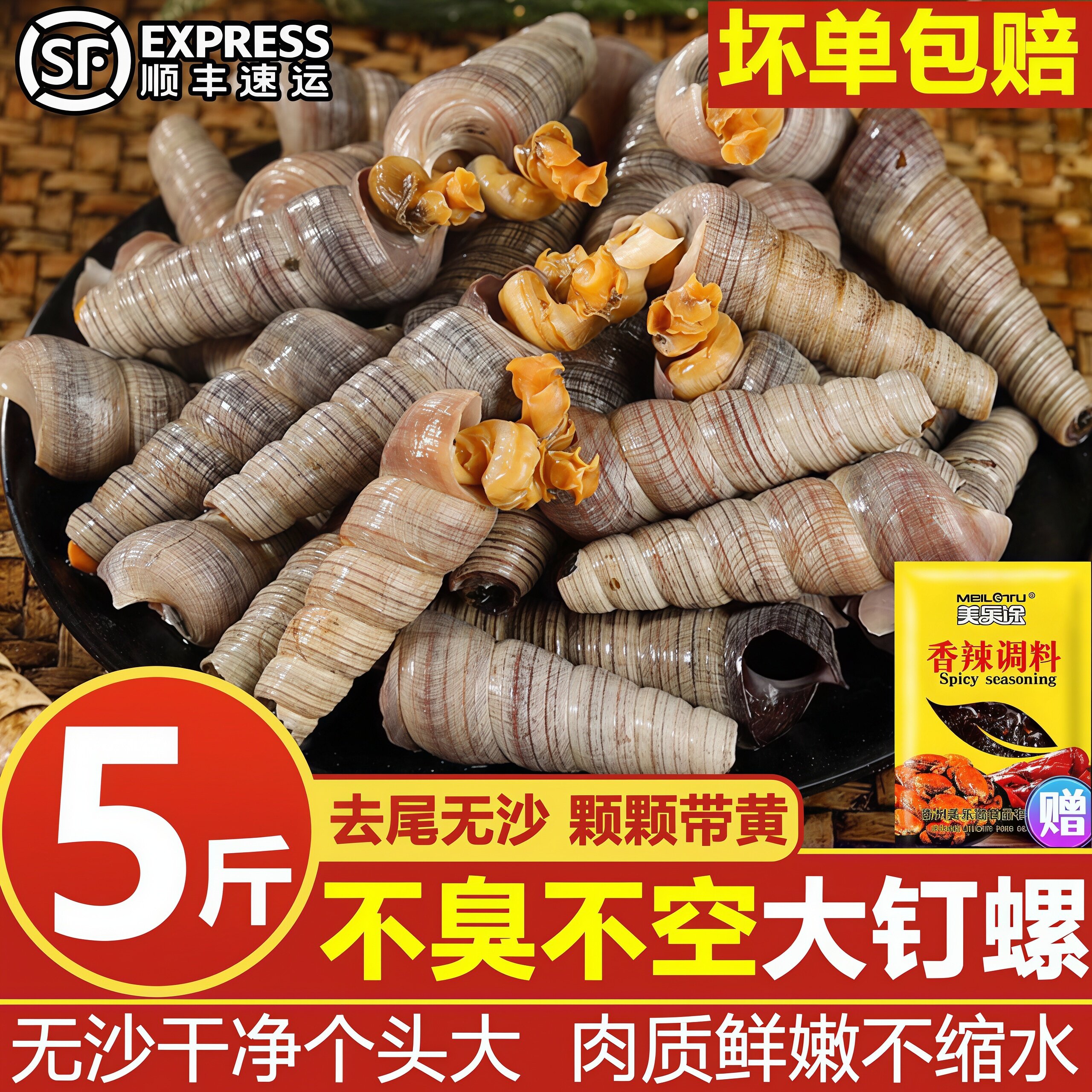 钉螺鲜活去尾带黄海螺丝去尾大号锥螺海鲜水产捞汁小海鲜整箱包邮