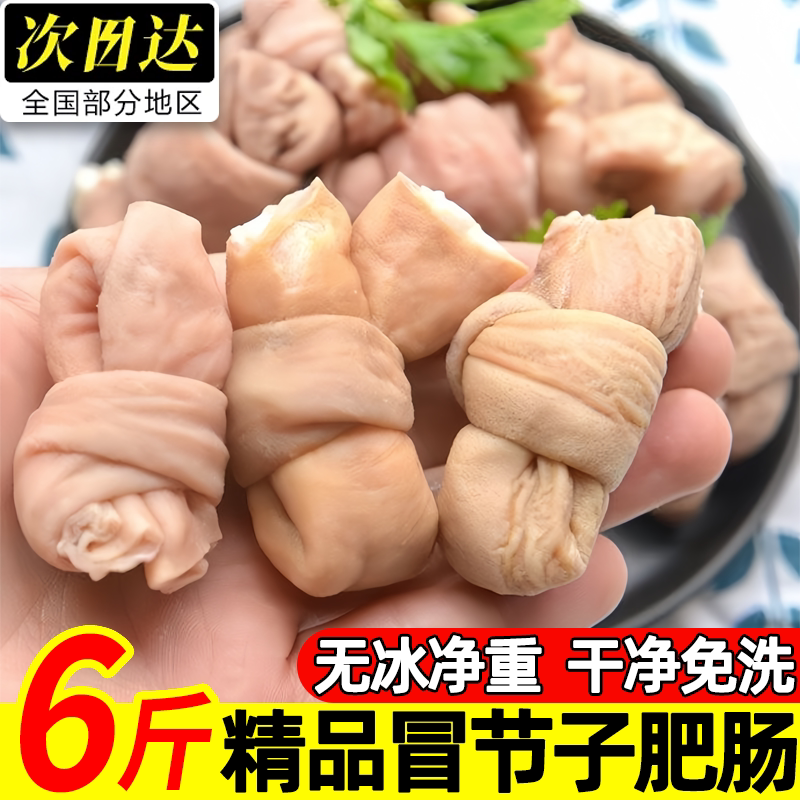 冒节子新鲜猪肠火锅食材批发