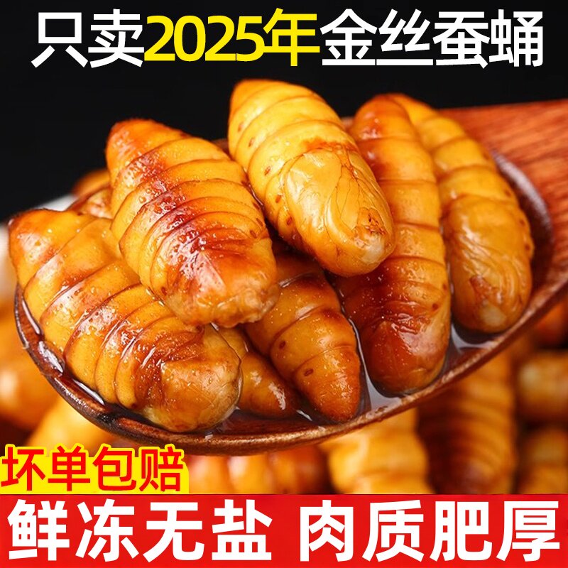 新鲜金丝蚕蛹鲜活冷冻农家桑蚕蛹山东特产油炸黄金蛹烧烤商用批发