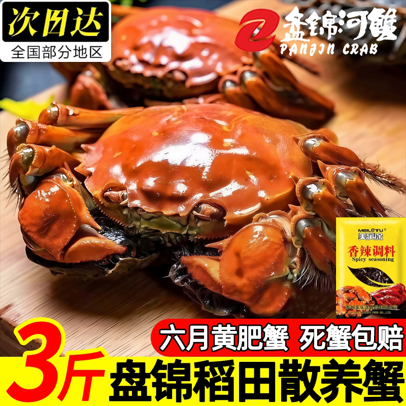 盘锦正宗活河蟹整箱顺丰批发
