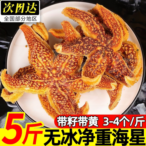 野生海捕满籽速冻海星