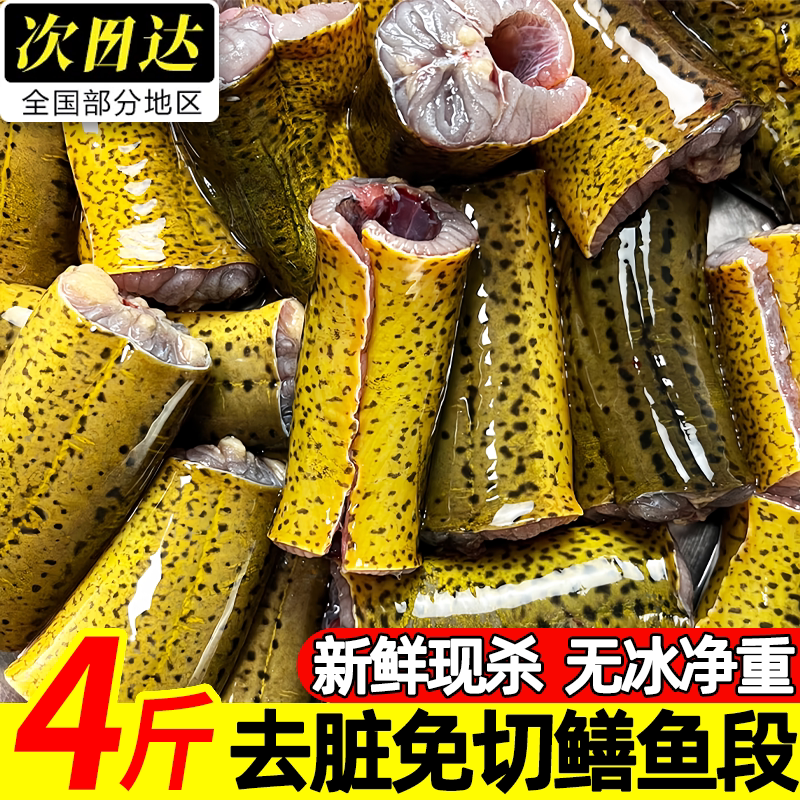 新鲜无冰黄鳝段鲜活现杀去头内脏冷冻鳝鱼段黄鳝肉半成品年货批发