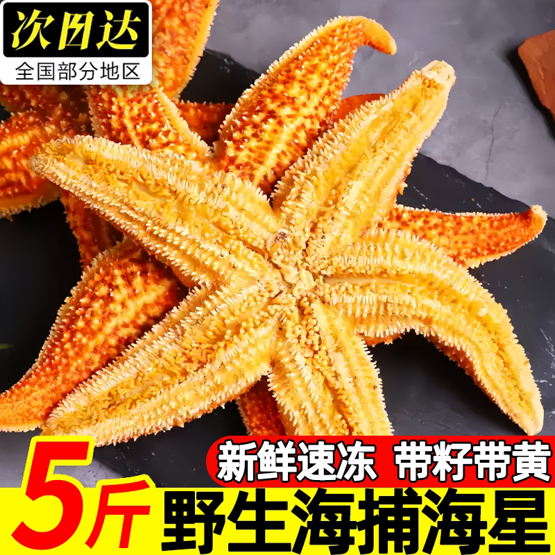 野生速冻特大满籽海星