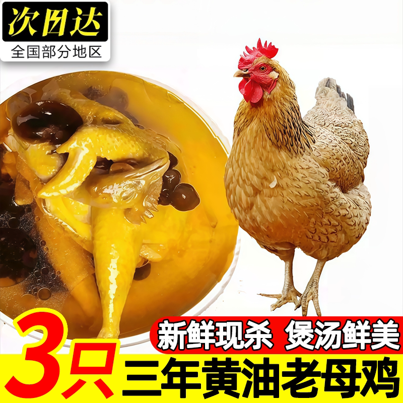 农家散养走地老母鸡整只新鲜现杀