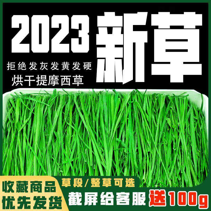 提摩西干草23提摩西草烘干晒干段叶幼兔子草北提猪豚鼠牧草新鲜