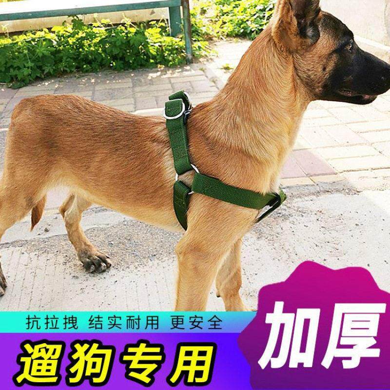狗狗牵引绳拉布拉多狗绳子金毛狗子胸背带土狗中大型犬马犬用品
