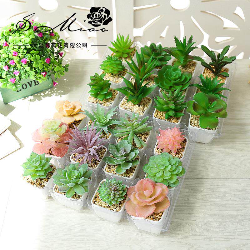 迷你塑料盆多肉植物盆景花摆件假花家居金华厂家直供绿植