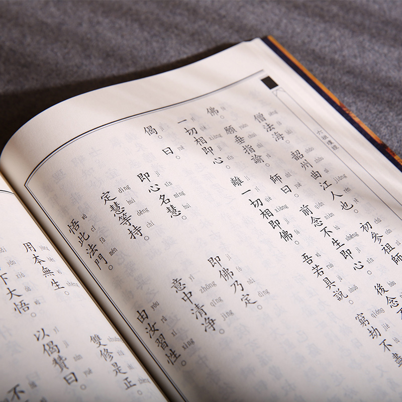 【大字版】六祖坛经 适合老年人读的书籍 老人大字书 佛教佛学入门经书 全注全译  国学文化传统经典 国学禅修修心经典书籍畅销书