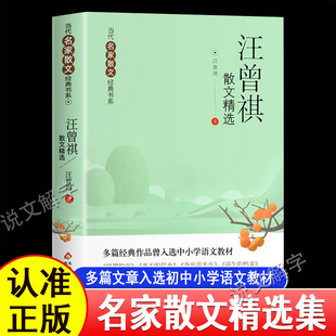 汪曾祺散文当代名家散文集精选朱自清冰心季羡林老舍宗璞巴金冯骥才丁立梅梁实秋现当代名人经典作品集小学初中生青少年中考高考